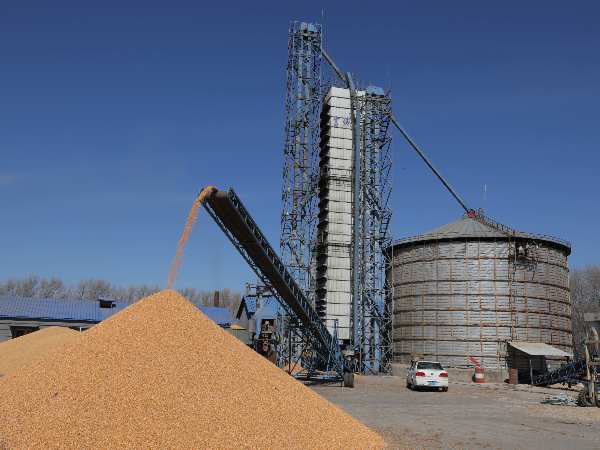 燒煤改燒秸稈大包直燃熱風(fēng)爐，烘干成本省一半