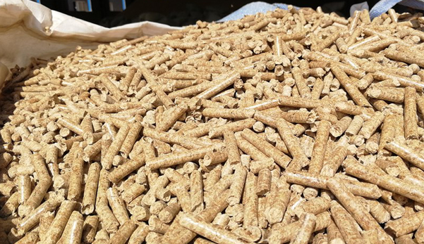 生態(tài)環(huán)境部回應(yīng)！生物質(zhì)成型燃料不是高污染燃料