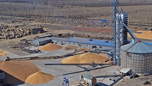 糧食烘干合作社如何做到年節(jié)省90萬(wàn)元？利民萬(wàn)佳鍋爐為您解析